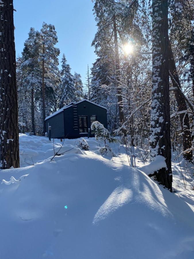 Villa Tammikon Tupa Tuusula Exterior foto